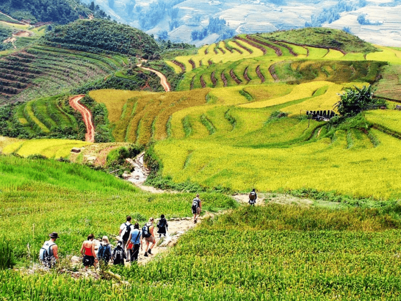 Sapa Trekking Tours – 2 Days 1 Night Stay At Homestay
