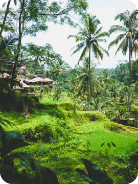 Indonesia